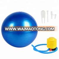 Yoga Ball 65CM with Pump Exercise Balance Anti-Burst Stability Ball for Pilates Abdominal Workout Office Chair